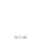 bird talk